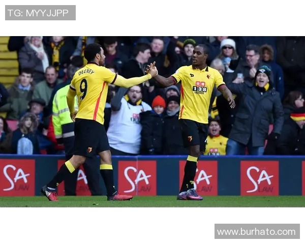 埃弗顿与沃特福德对决前瞻分析及比赛结果预测 埃弗顿与沃特福德对决前瞻分析及比赛结果预测