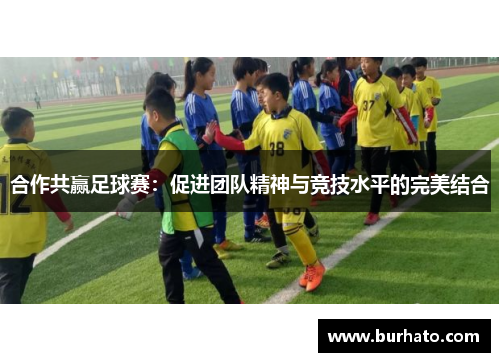 合作共赢足球赛：促进团队精神与竞技水平的完美结合